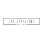 logo-carlosarroces